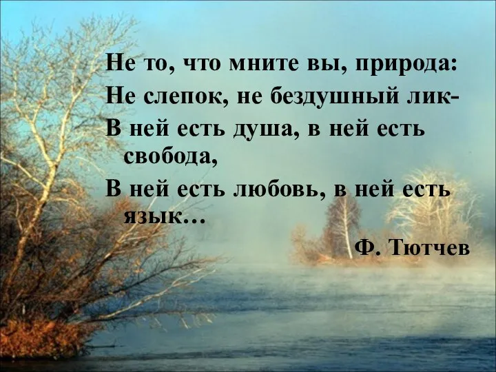 Не то, что мните вы, природа: Не слепок, не бездушный лик-