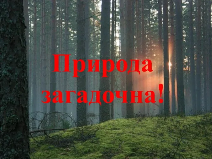 Природа загадочна!