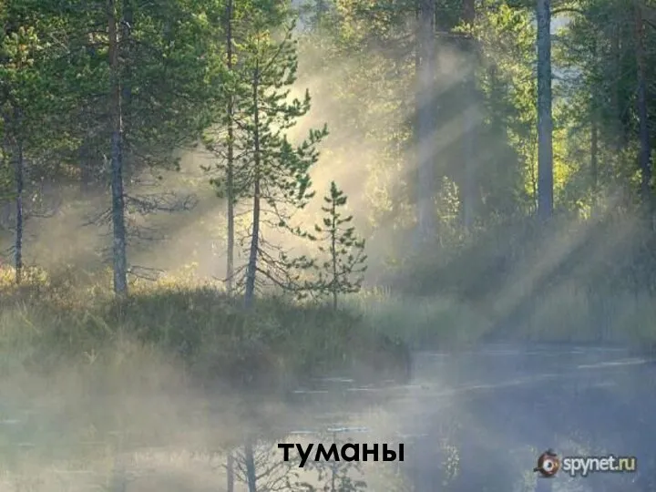 туманы