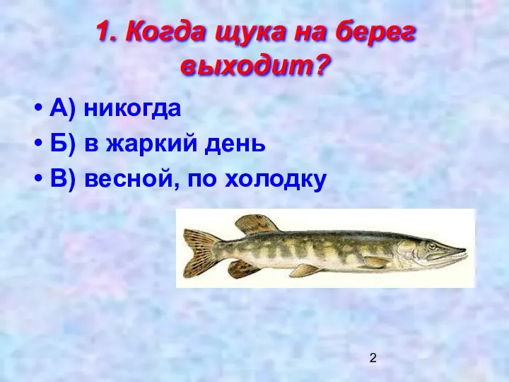 1. Когда щука на берег выходит? А) никогда Б) в жаркий день В) весной, по холодку