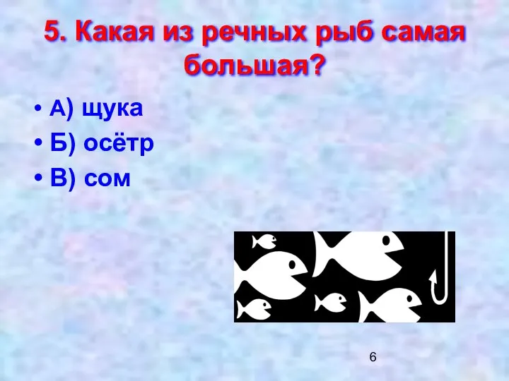 5. Какая из речных рыб самая большая? А) щука Б) осётр В) сом