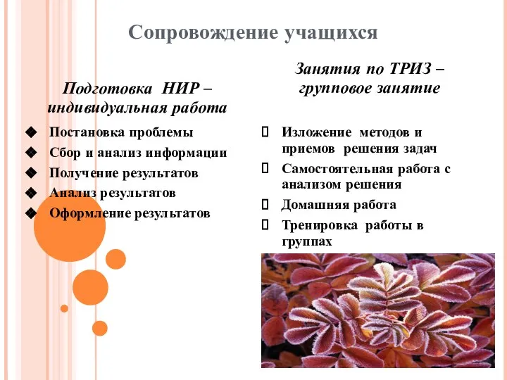 Сопровождение учащихся Подготовка НИР – индивидуальная работа Постановка проблемы Сбор и