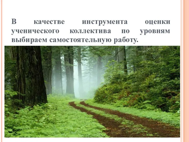 В качестве инструмента оценки ученического коллектива по уровням выбираем самостоятельную работу.