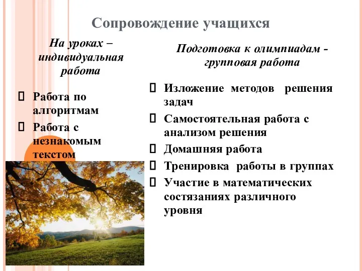 Сопровождение учащихся На уроках – индивидуальная работа Работа по алгоритмам Работа