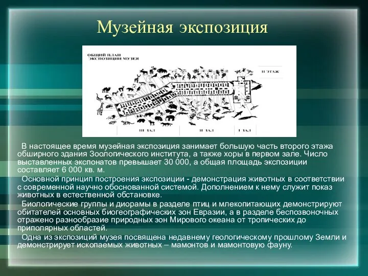 Музейная экспозиция В настоящее время музейная экспозиция занимает большую часть второго