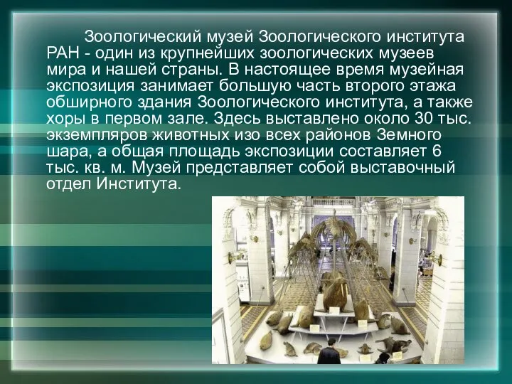 Зоологический музей Зоологического института РАН - один из крупнейших зоологических музеев