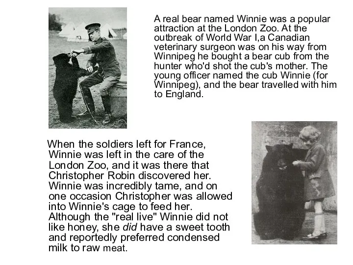 A real bear named Winnie was a popular attraction at the