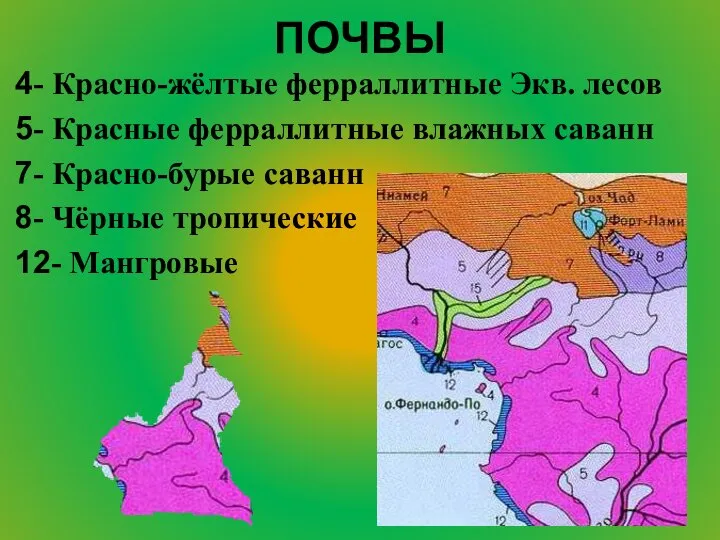 ПОЧВЫ 4- Красно-жёлтые ферраллитные Экв. лесов 5- Красные ферраллитные влажных саванн