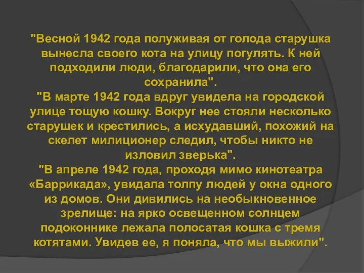 "Весной 1942 года полуживая от голода старушка вынесла своего кота на