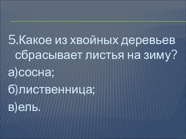 5.Какое из хвойных деревьев сбрасывает листья на зиму? а)сосна; б)лиственница; в)ель.