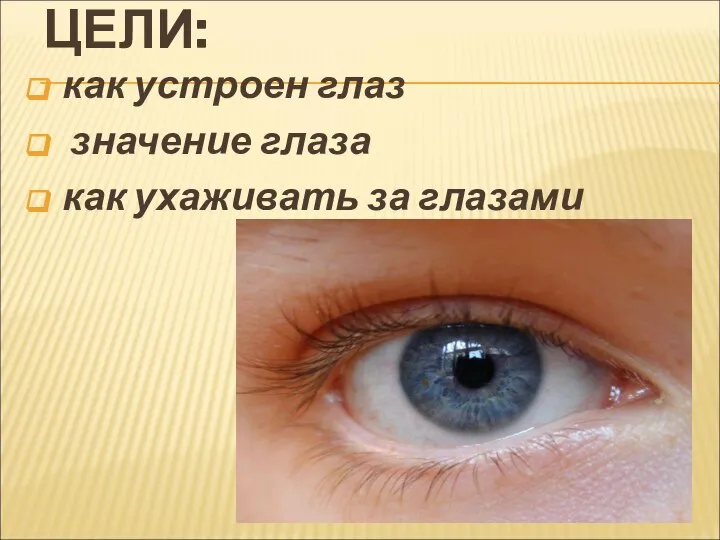 ЦЕЛИ: как устроен глаз значение глаза как ухаживать за глазами