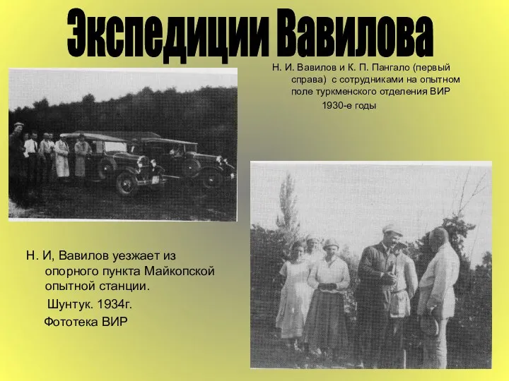 Экспедиции Вавилова Н. И, Вавилов уезжает из опорного пункта Майкопской опытной