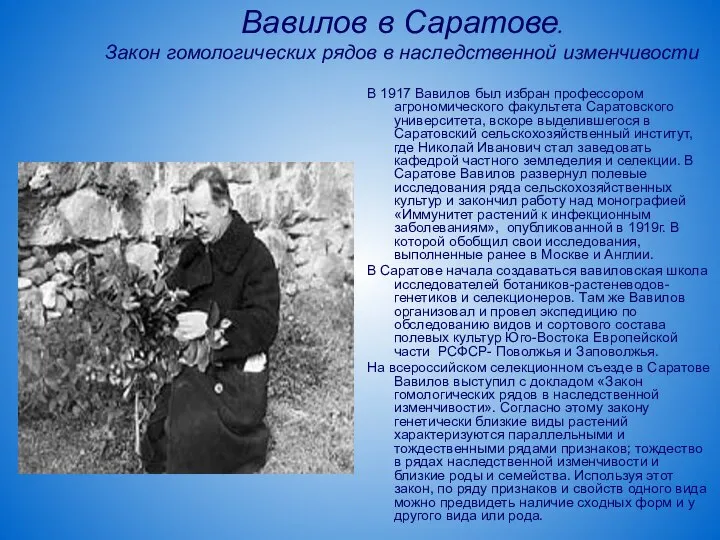 Вавилов в Саратове. Закон гомологических рядов в наследственной изменчивости В 1917