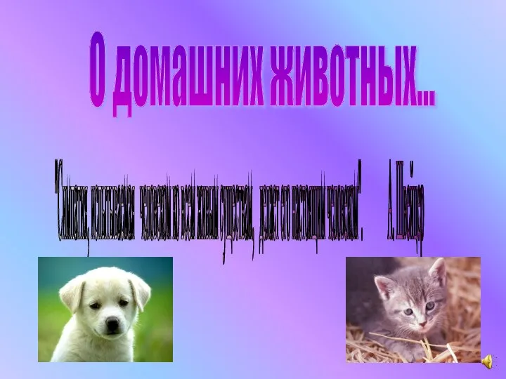 О домашних животных... "Симпатия, испытываемая человеком ко всем живым существам, делает его настоящим человеком". А. Швейцер