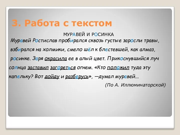 3. Работа с текстом МУРАВЕЙ И РОСИНКА Муравей Ростислав пробирался сквозь