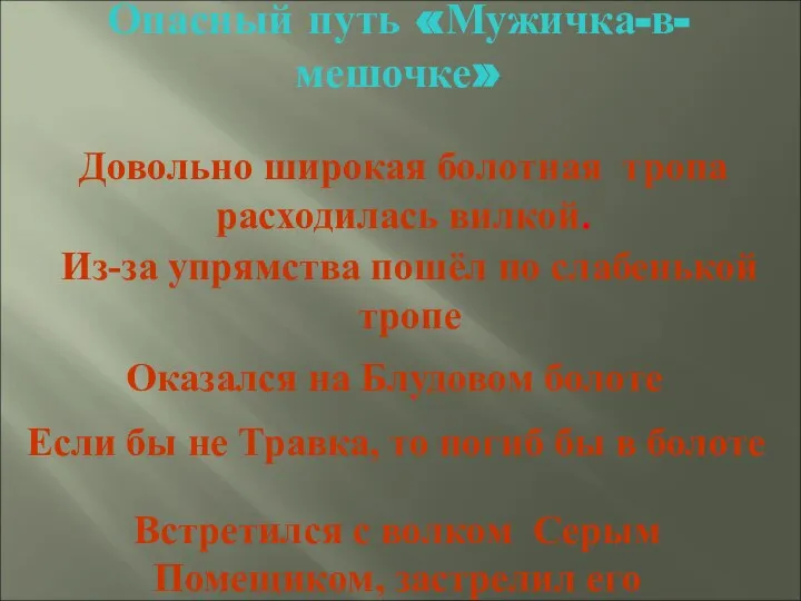 Опасный путь «Мужичка-в-мешочке» Довольно широкая болотная тропа расходилась вилкой. Из-за упрямства