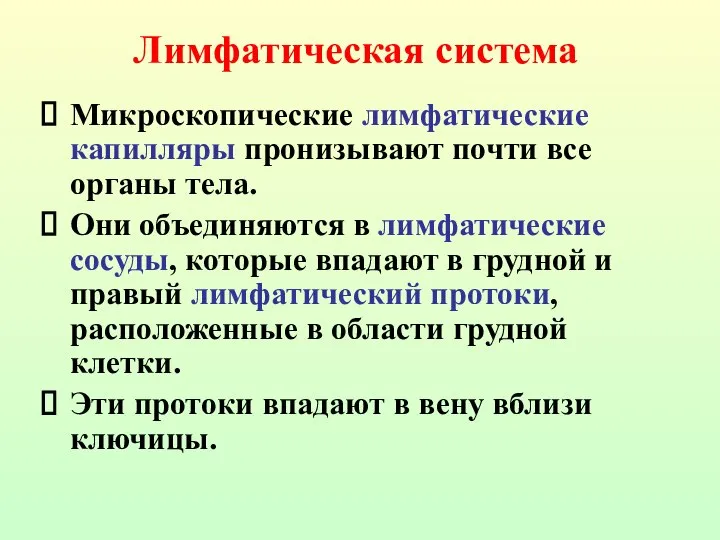 Микроскопические лимфатические капилляры пронизывают почти все органы тела. Они объединяются в