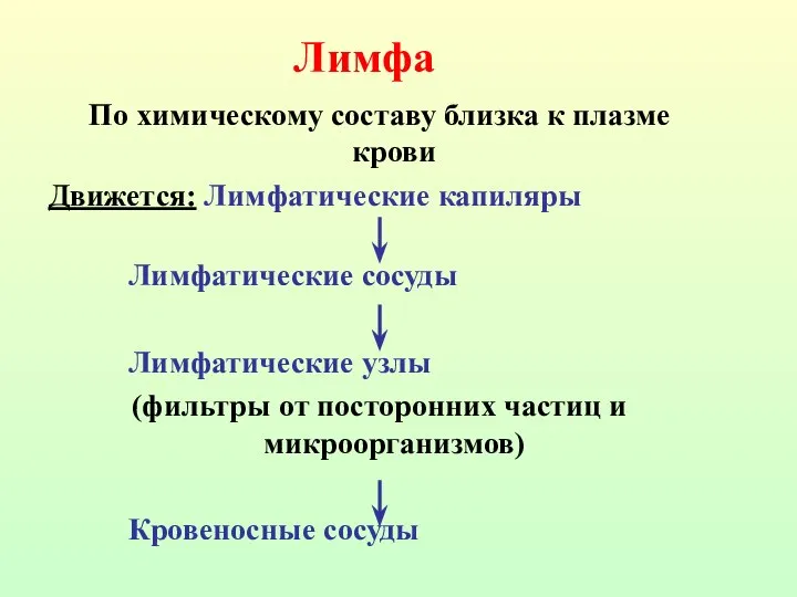 Лимфа По химическому составу близка к плазме крови Движется: Лимфатические капиляры