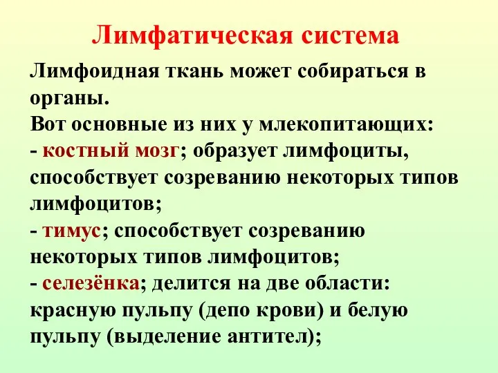 Лимфоидная ткань может собираться в органы. Вот основные из них у