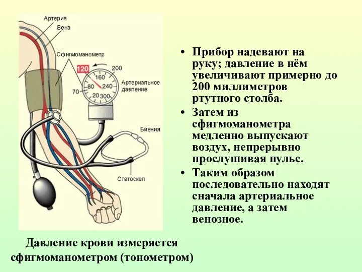 Прибор надевают на руку; давление в нём увеличивают примерно до 200