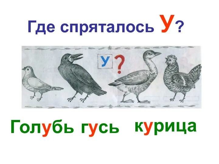 Где спряталось У? Голубь гусь курица