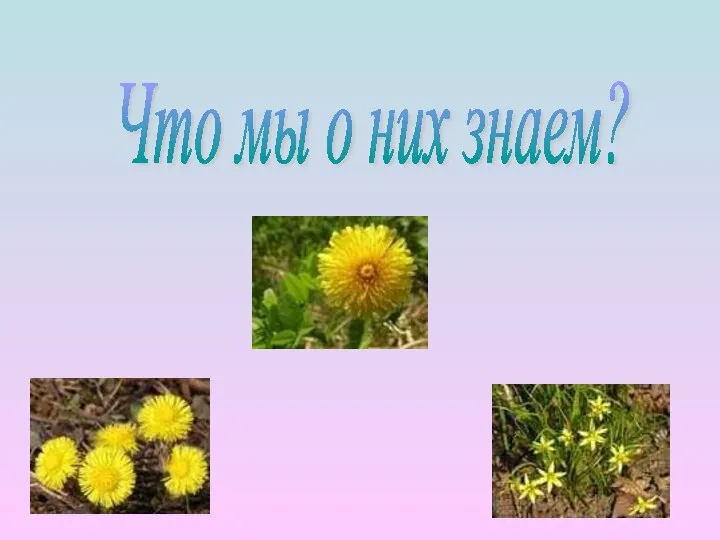 Что мы о них знаем?