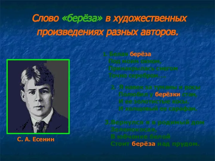 Слово «берёза» в художественных произведениях разных авторов. 1. Белая берёза Под