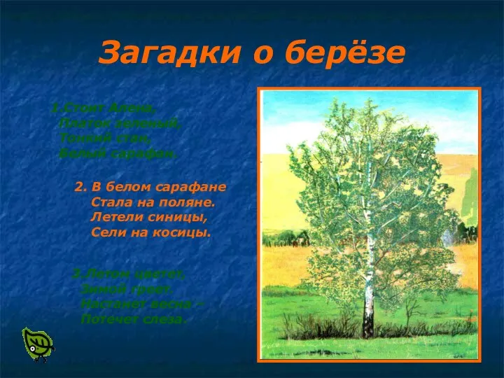 Загадки о берёзе 1.Стоит Алена, Платок зеленый, Тонкий стан, Белый сарафан.