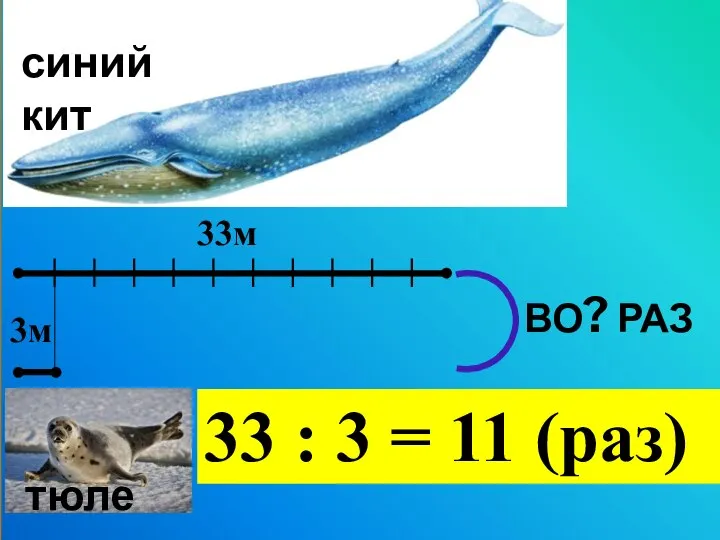 33м 3м тюлень синий кит ВО? РАЗ 33 : 3 = 11 (раз)