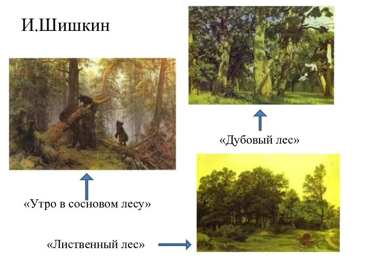 И.Шишкин «Утро в сосновом лесу» «Лиственный лес» «Дубовый лес»