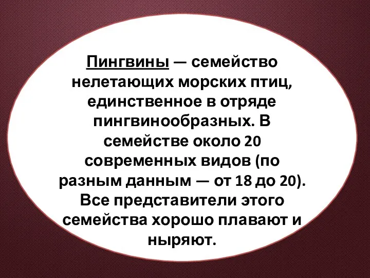 Пингвины — семейство нелетающих морских птиц, единственное в отряде пингвинообразных. В