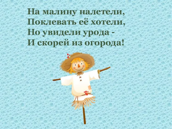 На малину налетели, Поклевать её хотели, Но увидели урода - И скорей из огорода!