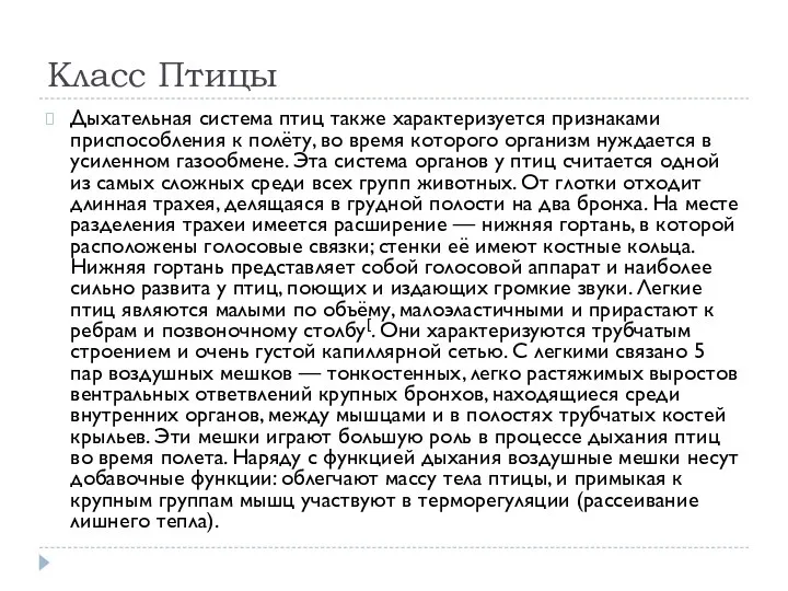 Класс Птицы Дыхательная система птиц также характеризуется признаками приспособления к полёту,