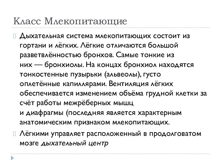 Класс Млекопитающие Дыхательная система млекопитающих состоит из гортани и лёгких. Лёгкие