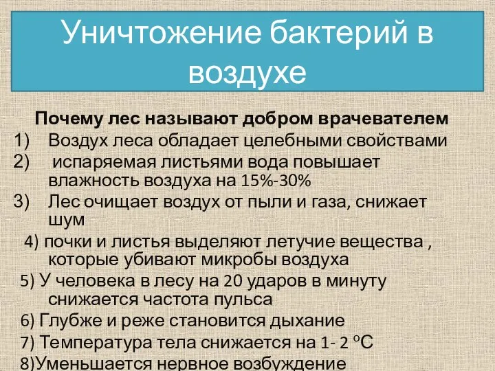 Уничтожение бактерий в воздухе Почему лес называют добром врачевателем Воздух леса