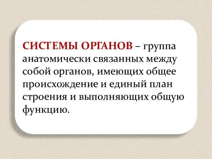 СИСТЕМЫ ОРГАНОВ – группа анатомически связанных между собой органов, имеющих общее