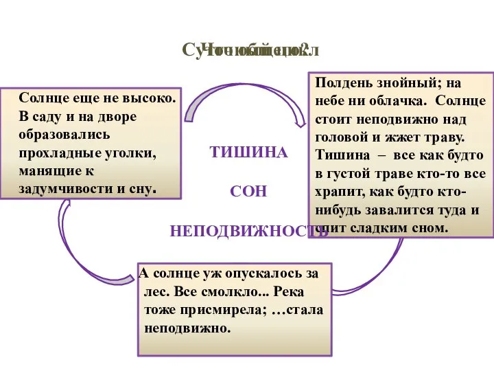 Суточный цикл утро полдень вечер Что общего? Солнце еще не высоко.