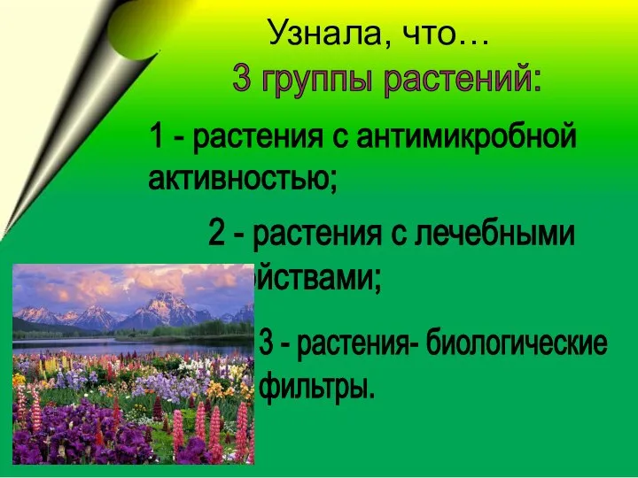 3 группы растений: 1 - растения с антимикробной активностью; 2 -