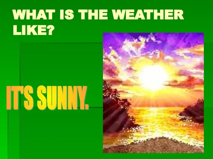 WHAT IS THE WEATHER LIKE? IT'S SUNNY.