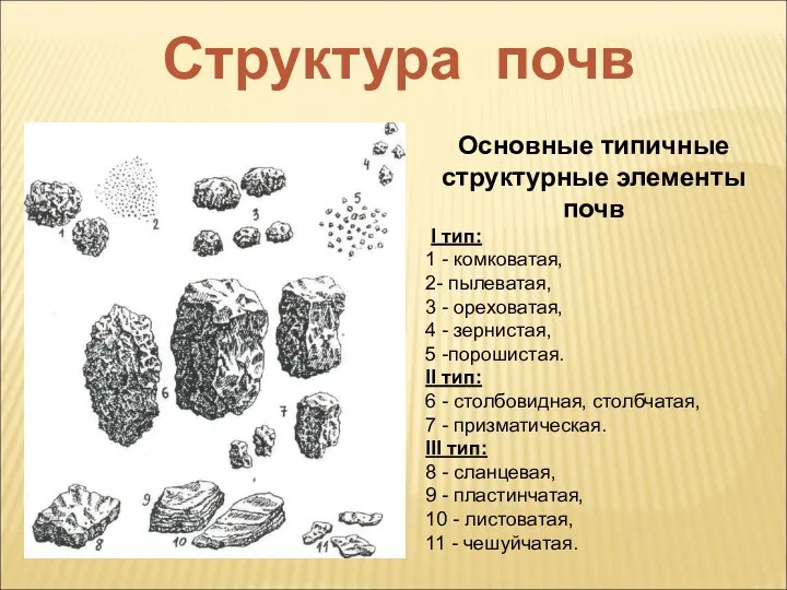 Основные типичные структурные элементы почв I тип: 1 - комковатая, 2-