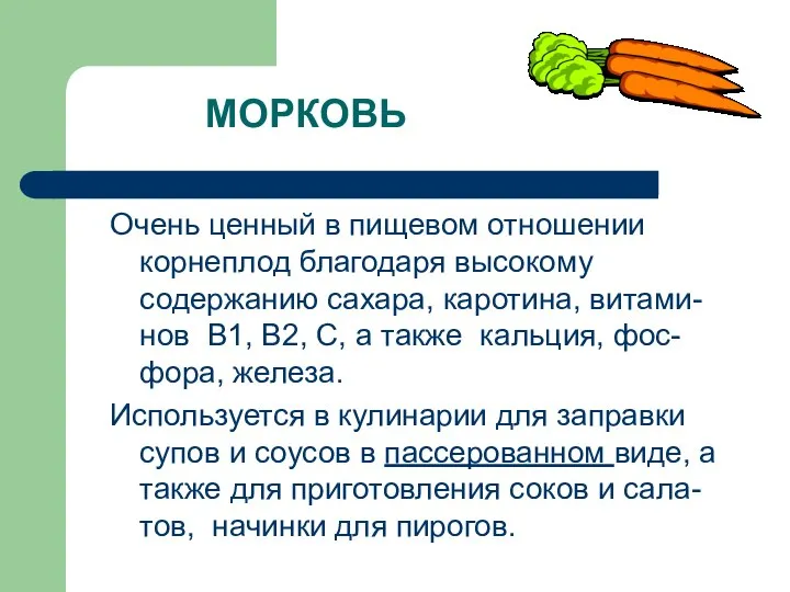 МОРКОВЬ Очень ценный в пищевом отношении корнеплод благодаря высокому содержанию сахара,