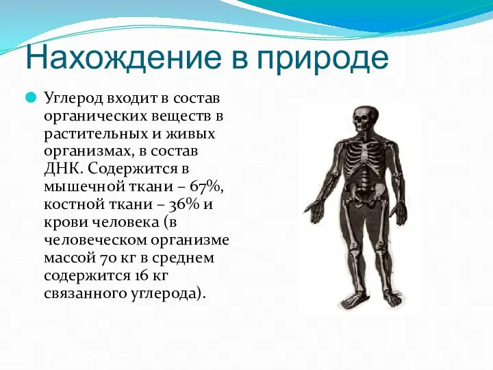 Нахождение в природе Углерод входит в состав органических веществ в растительных