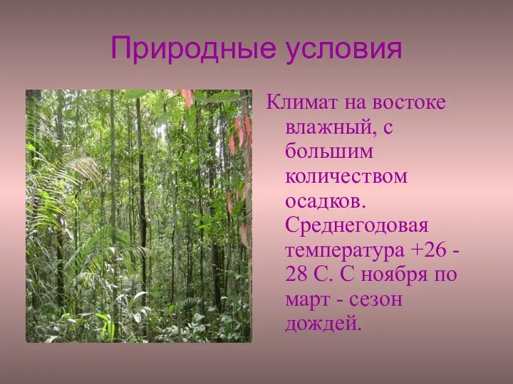 Природные условия Климат на востоке влажный, с большим количеством осадков. Среднегодовая