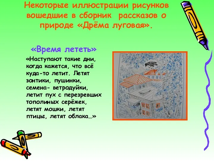 Некоторые иллюстрации рисунков вошедшие в сборник рассказов о природе «Дрёма луговая».