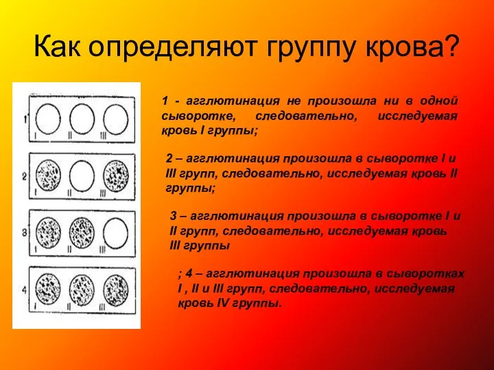 Как определяют группу крова? 1 - агглютинация не произошла ни в