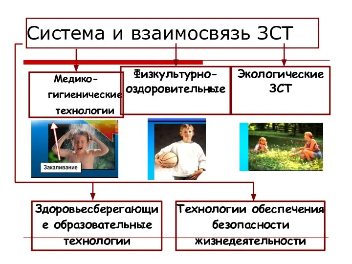 Система и взаимосвязь ЗСТ Медико-гигиенические технологии