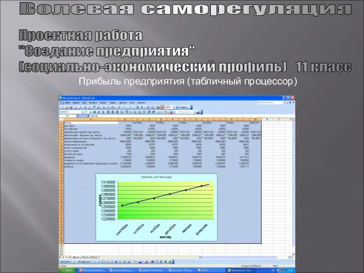 Волевая саморегуляция Проектная работа "Создание предприятия" (социально-экономический профиль) 11 класс Прибыль предприятия (табличный процессор)