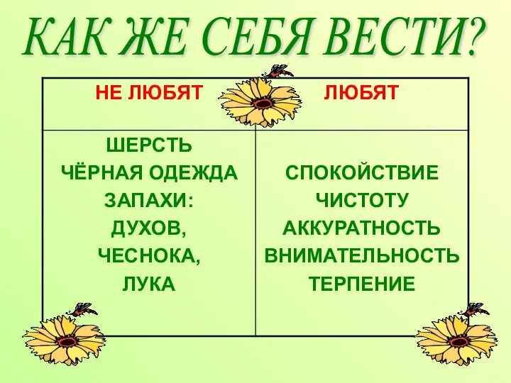 КАК ЖЕ СЕБЯ ВЕСТИ?