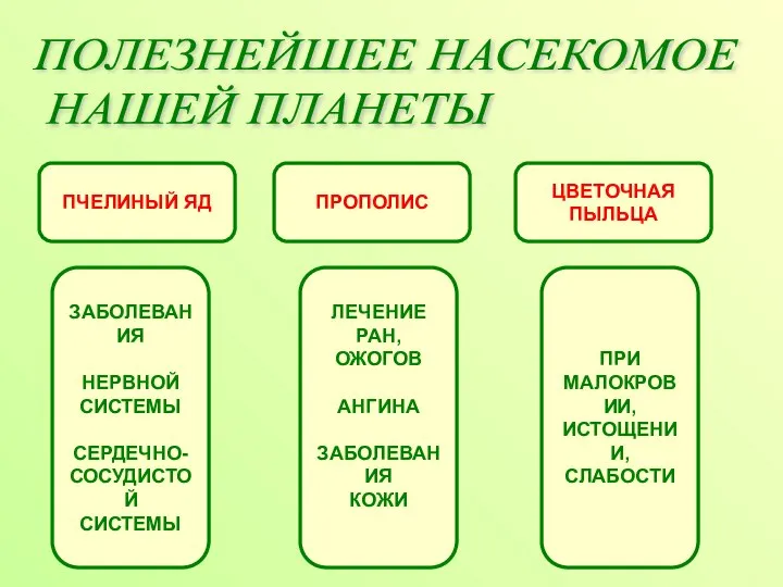 ПОЛЕЗНЕЙШЕЕ НАСЕКОМОЕ НАШЕЙ ПЛАНЕТЫ ПЧЕЛИНЫЙ ЯД ЦВЕТОЧНАЯ ПЫЛЬЦА ПРОПОЛИС ЗАБОЛЕВАНИЯ НЕРВНОЙ