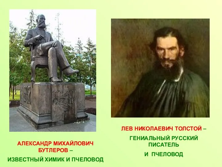 АЛЕКСАНДР МИХАЙЛОВИЧ БУТЛЕРОВ – ИЗВЕСТНЫЙ ХИМИК И ПЧЕЛОВОД ЛЕВ НИКОЛАЕВИЧ ТОЛСТОЙ